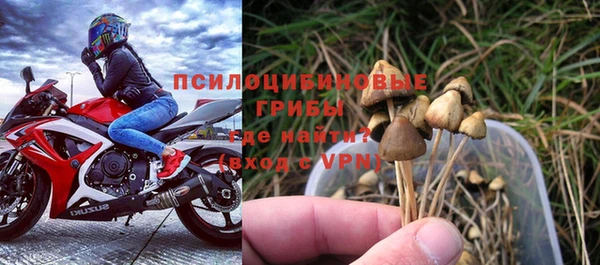 бошки Алзамай