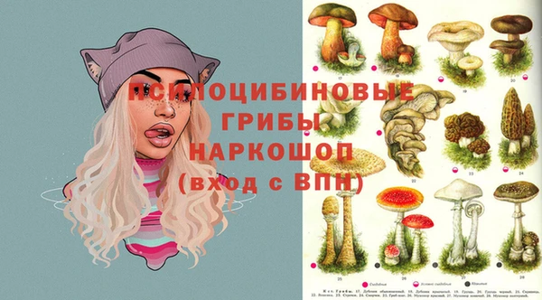 спайс Алексин