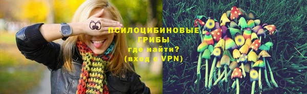мескалин Алексеевка