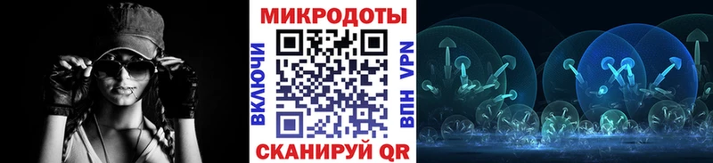 даркнет какой сайт Нюрба Псилоцибиновые грибы Psilocybine cubensis